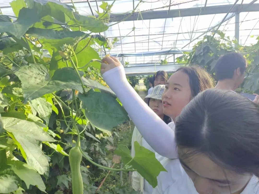 江西抚州崇仁：大学生社会实践队探秘农业科技