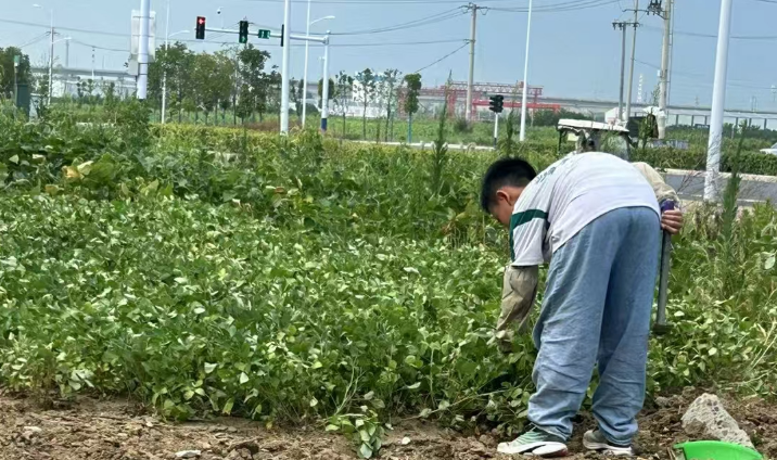 安徽省合肥市肥东县白龙镇洪桥社区关工委开展“亲近自然” 体验种植活动