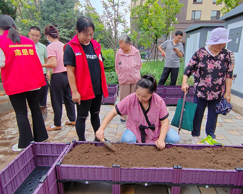 植此绿色 乐享耕趣 ——内蒙古赤峰市元宝山区西城街道新景四季东社区关工委开展“五老”农作物种植活动