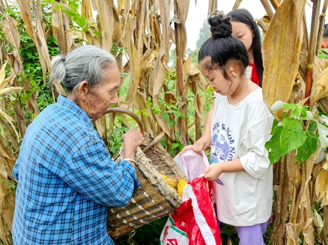 湖南省湘西土家族苗族自治州保靖沃土关工委与岳阳学校关工委联合举办秋收体验活动