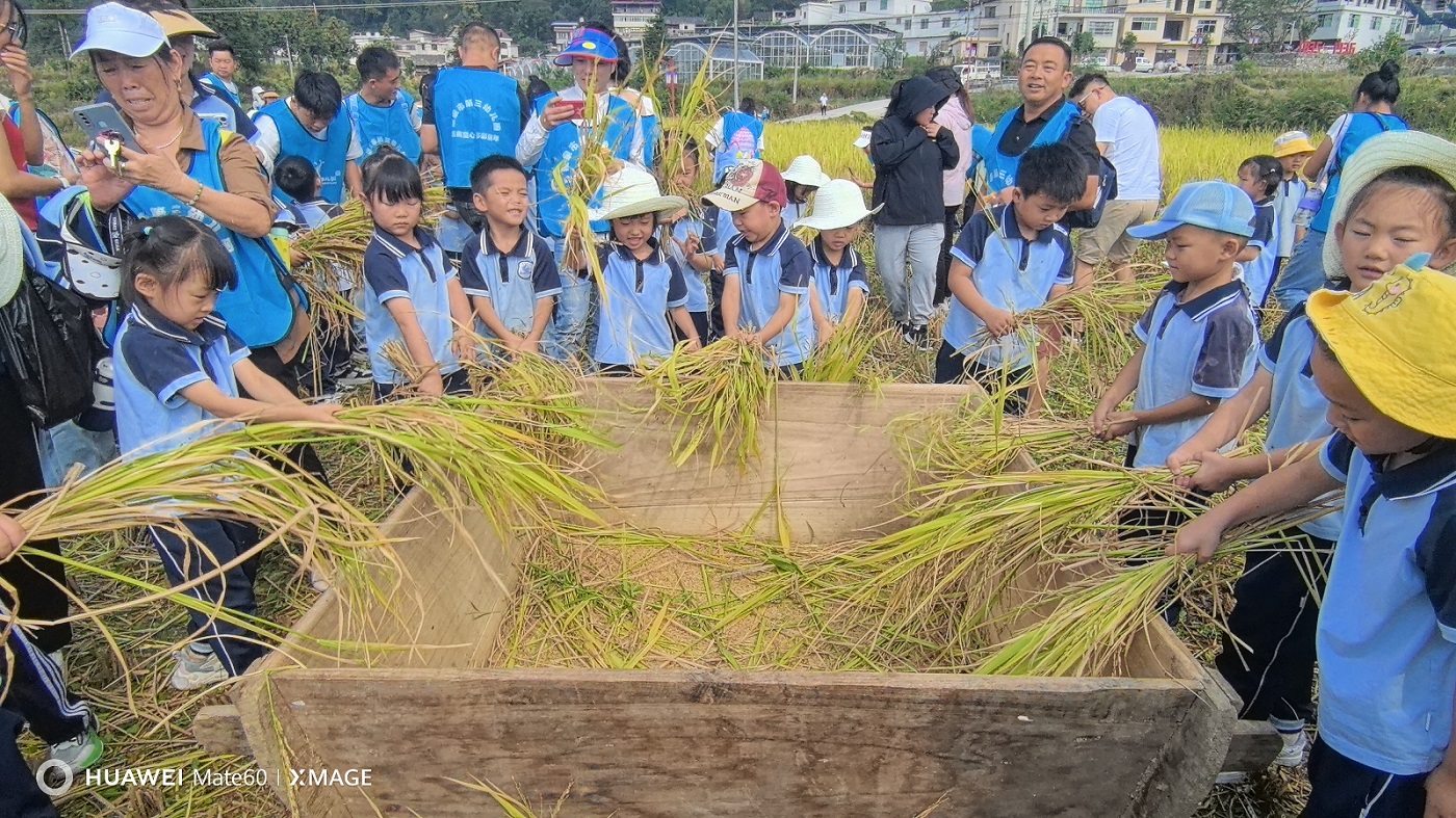 盛世华诞  童心共庆——福泉市第三幼儿园关工委2024年稻田丰收节研学活动