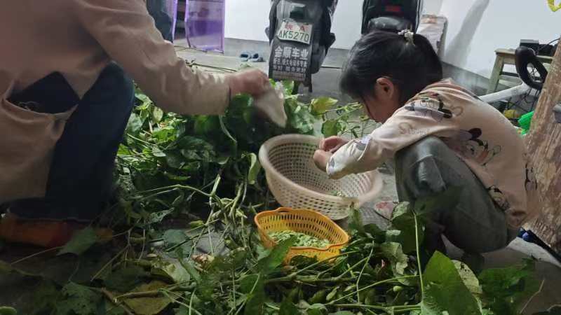 安徽省合肥市肥东县白龙镇关工委开展重阳节“我为爷爷奶奶做件事”主题实践活动