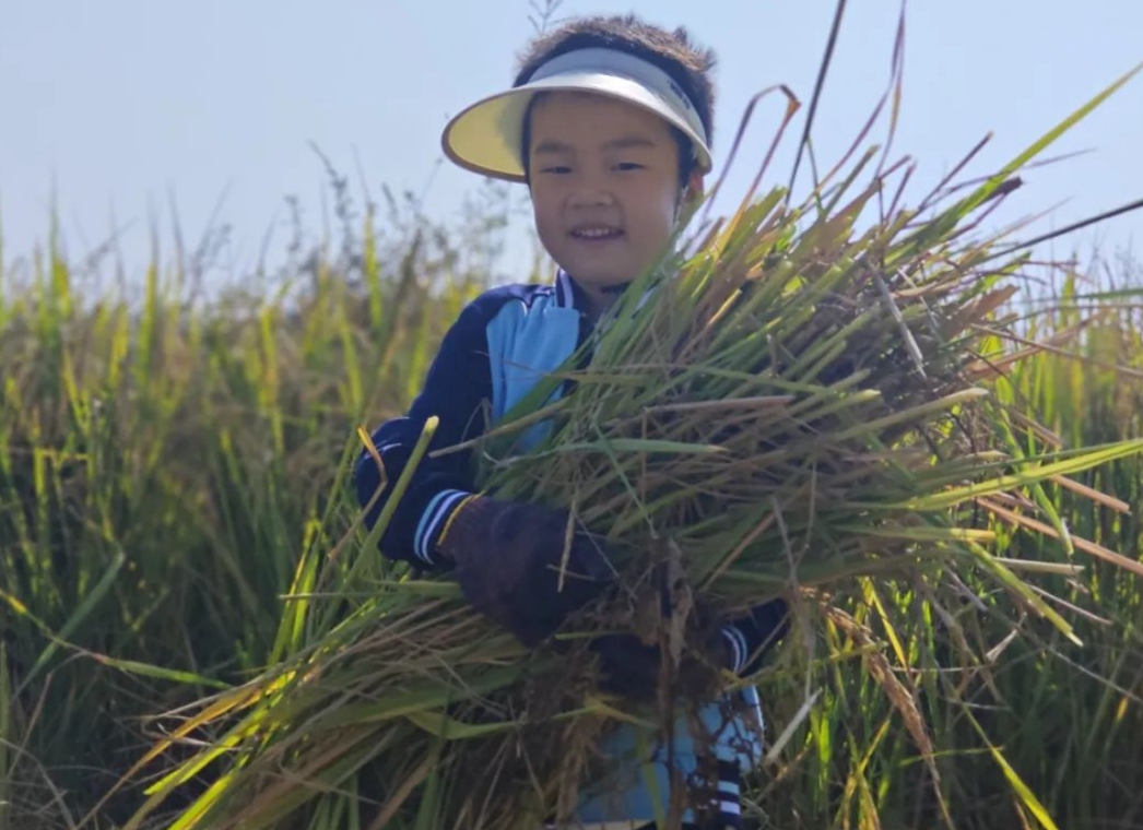 江西抚州市崇仁县第二幼儿园关工委开展幼“趣”秋收活动