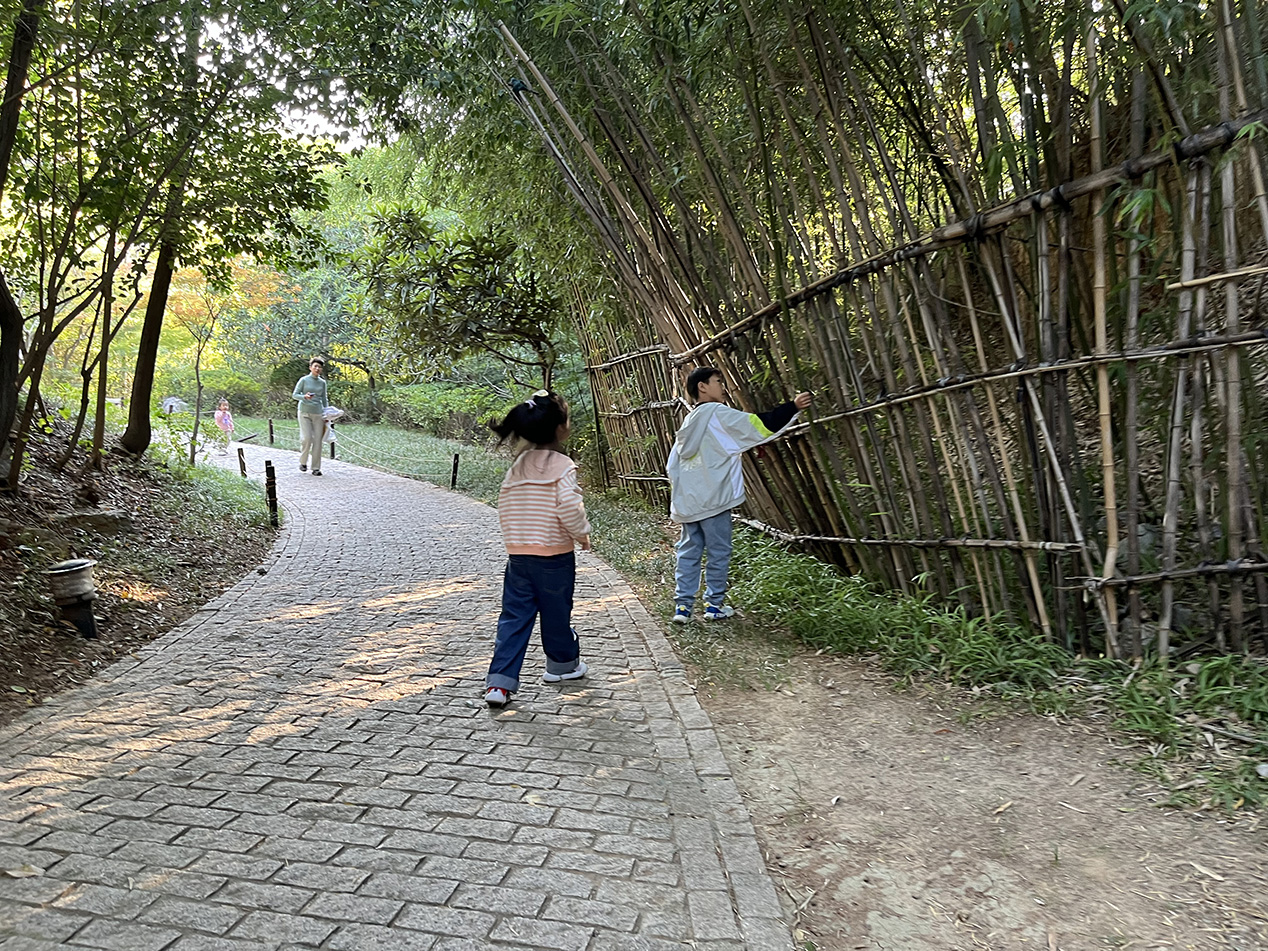 徐州经开区徐庄镇岳庄村关工委开展“登高望远 重阳安康”亲子登山活动