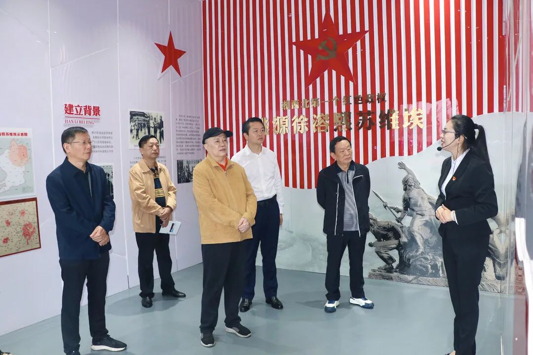 湖南省关心下一代工作委员会领导来桃源县调研