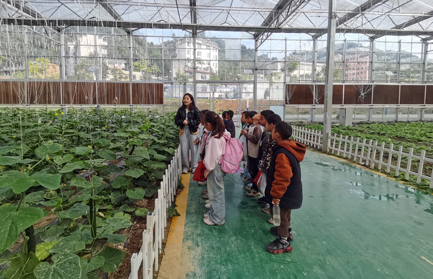 湖南省湘西州吉首市社塘坡学校关工委：袅袅炊烟起 研学砺成长