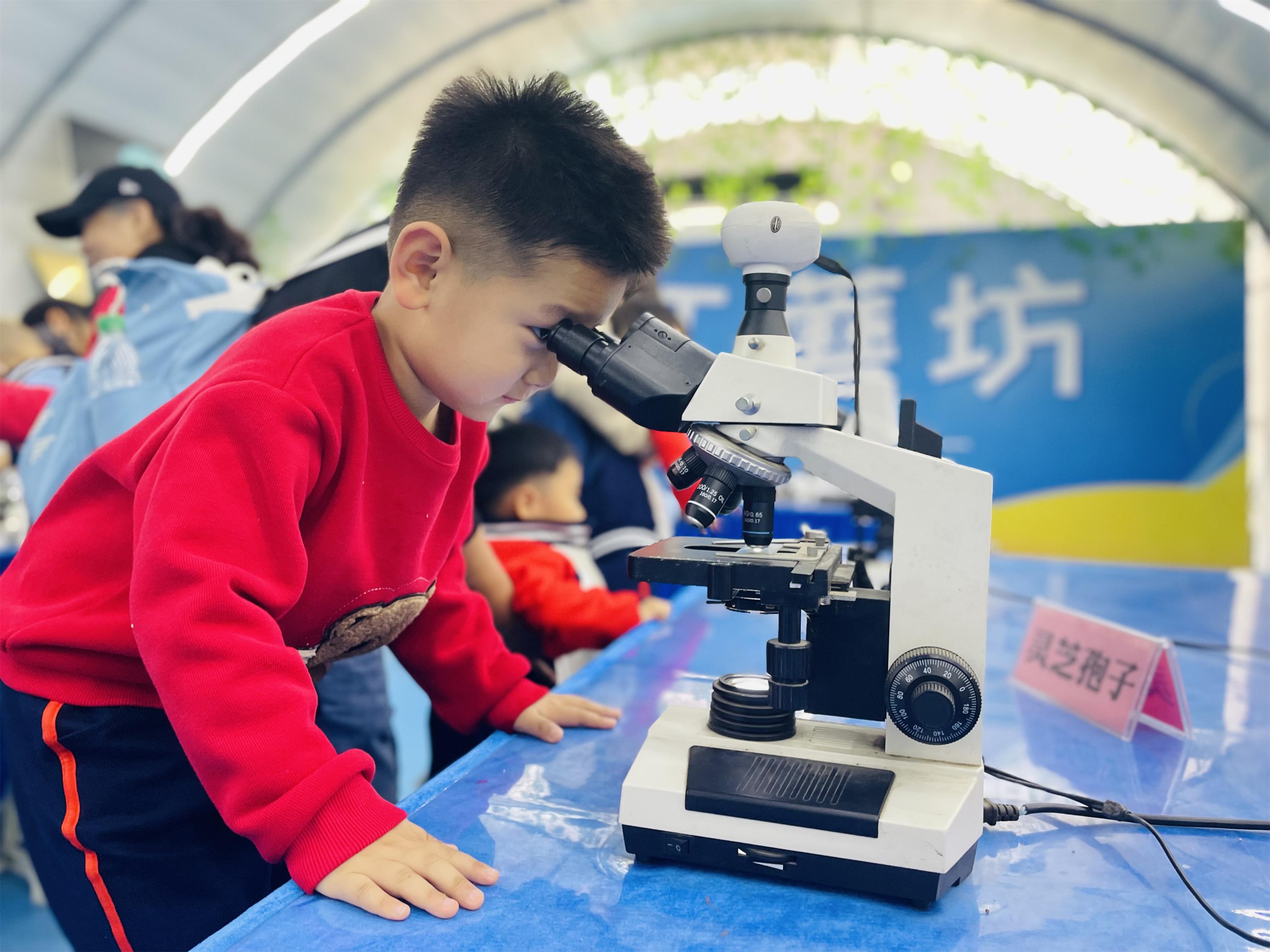 江苏省徐州市经开区徐庄镇来安村关工委：小世界 大奥秘