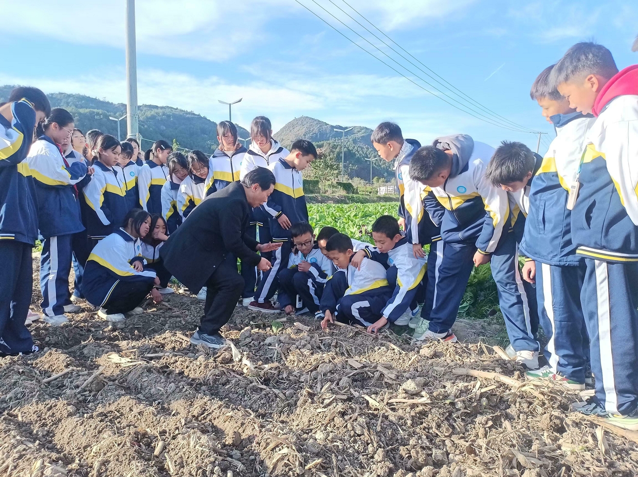 贵州省黔南州独山县关工委到第一中学 劳动实践基地开展大蒜种植指导