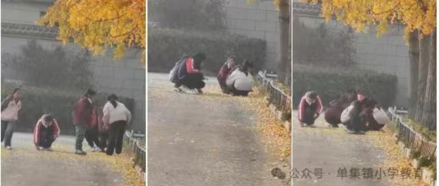 “片片落叶情，幅幅童心漾” ———江苏省徐州市铜山区单集镇黄集小学关工委开展树叶贴画活动