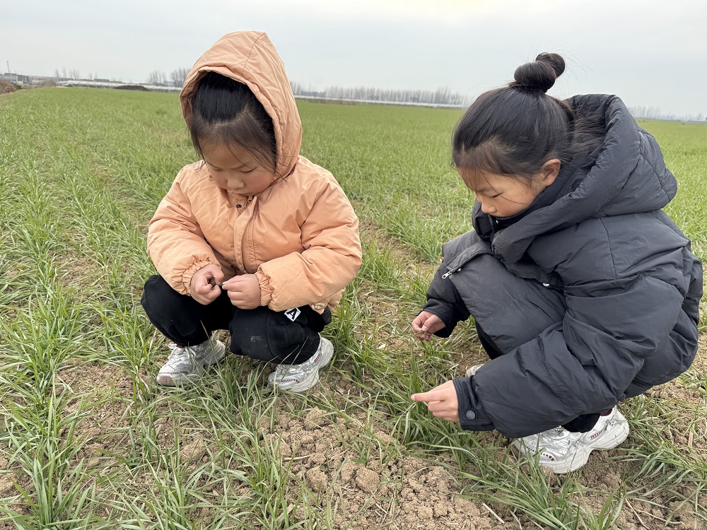江苏省徐州市经开区徐庄镇关工委开展“走进麦田，探索麦田”活动