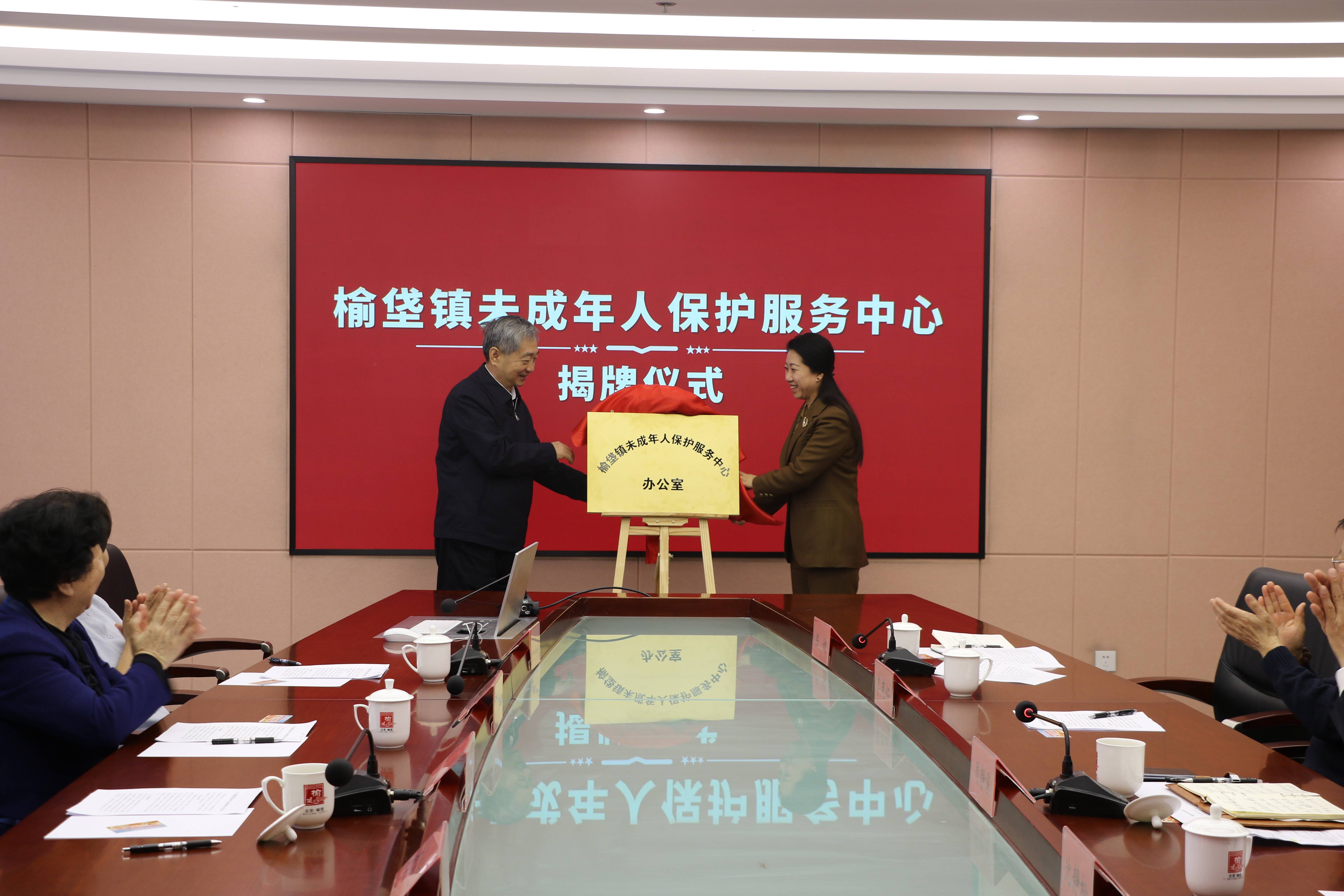 北京市大兴区榆垡镇关工委未成年人保护服务中心成立