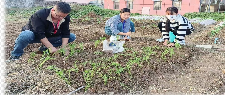 江西抚州崇仁：开设劳动课带学生种菜