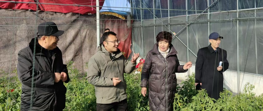 江苏省徐州市铜山区关工委主任孟宪康一行调研三堡街道“三扶两创”和校外辅导站建设工作