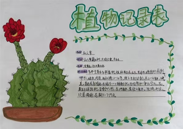播种希望，记录成长——江苏省徐州市铜山区汉王实验小学关工委开展“植物观察日记”活动