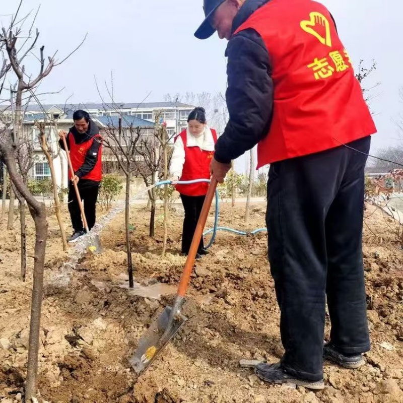 江苏省徐州市铜山区关工委积极组织“五老”和青少年开展义务植树活动