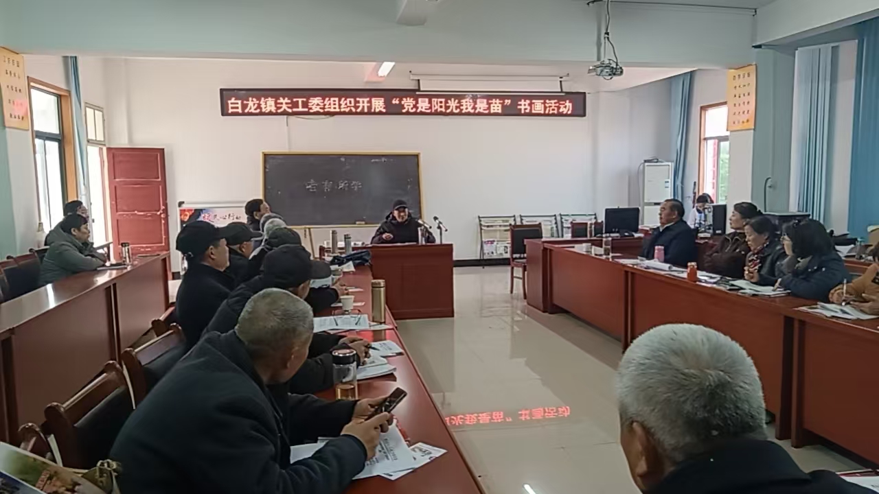 安徽省合肥市肥东县白龙镇关工委组织开展“党是阳光我是苗”书画比赛