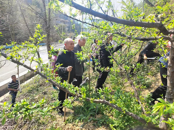贵州省黔南州三都县关工委组织“五老”科技服务组深入田间地头开展乡村振兴青年带头人科技培训