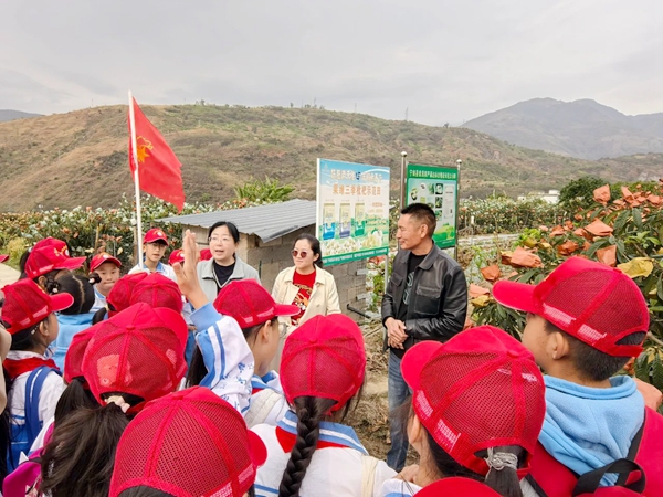 探索自然课堂 赋能成长之路——四川省凉山州宁南县朝阳小学关工委开展枇杷主题研学活动