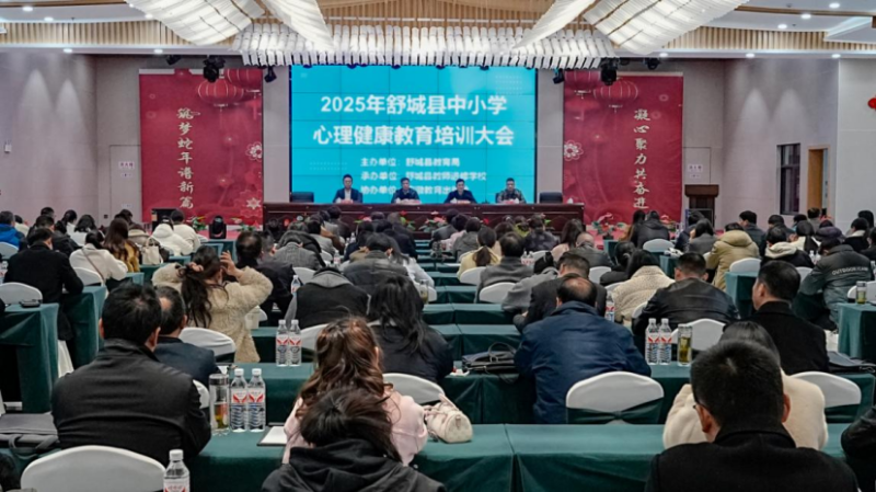 安徽省六安市舒城开展2025年中小学心理健康教育培训