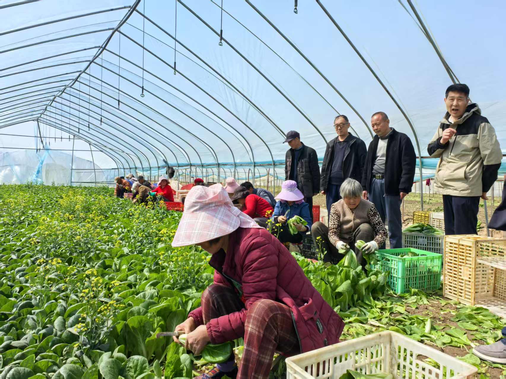 “助力乡村振兴就是关心下一代”——安徽省阜阳市太和县关工委新春走基层悟实明理