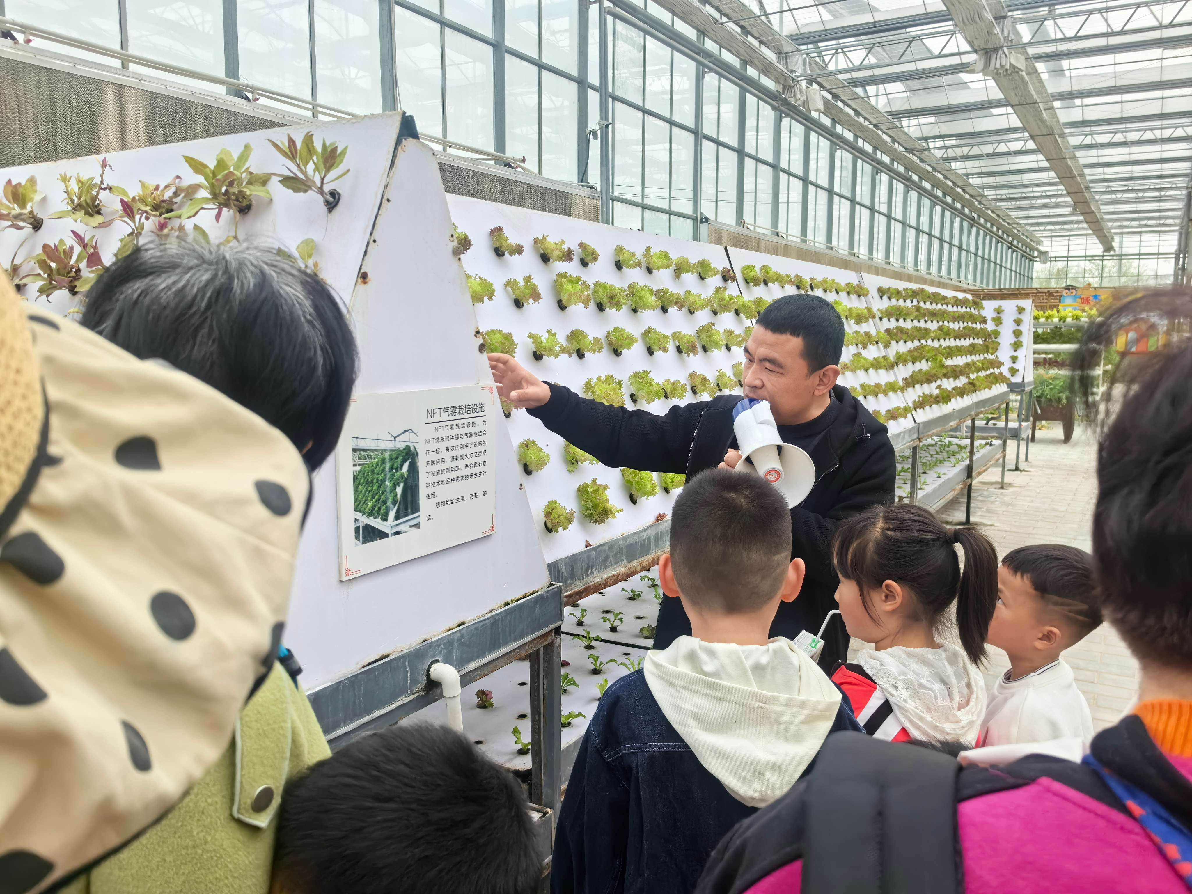 江苏省徐州市经开区徐庄镇吴集村关工委： 探秘无土栽培 感受科技赋能农业