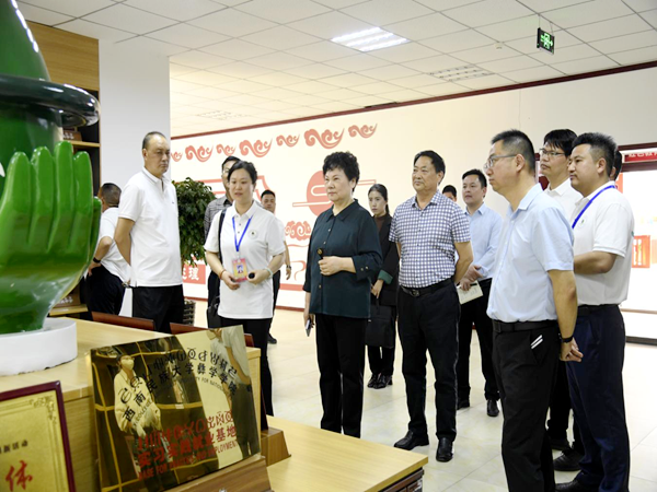 凉山州关工委常务副主任季晓静一行到宁南县调研指导关心下一代工作