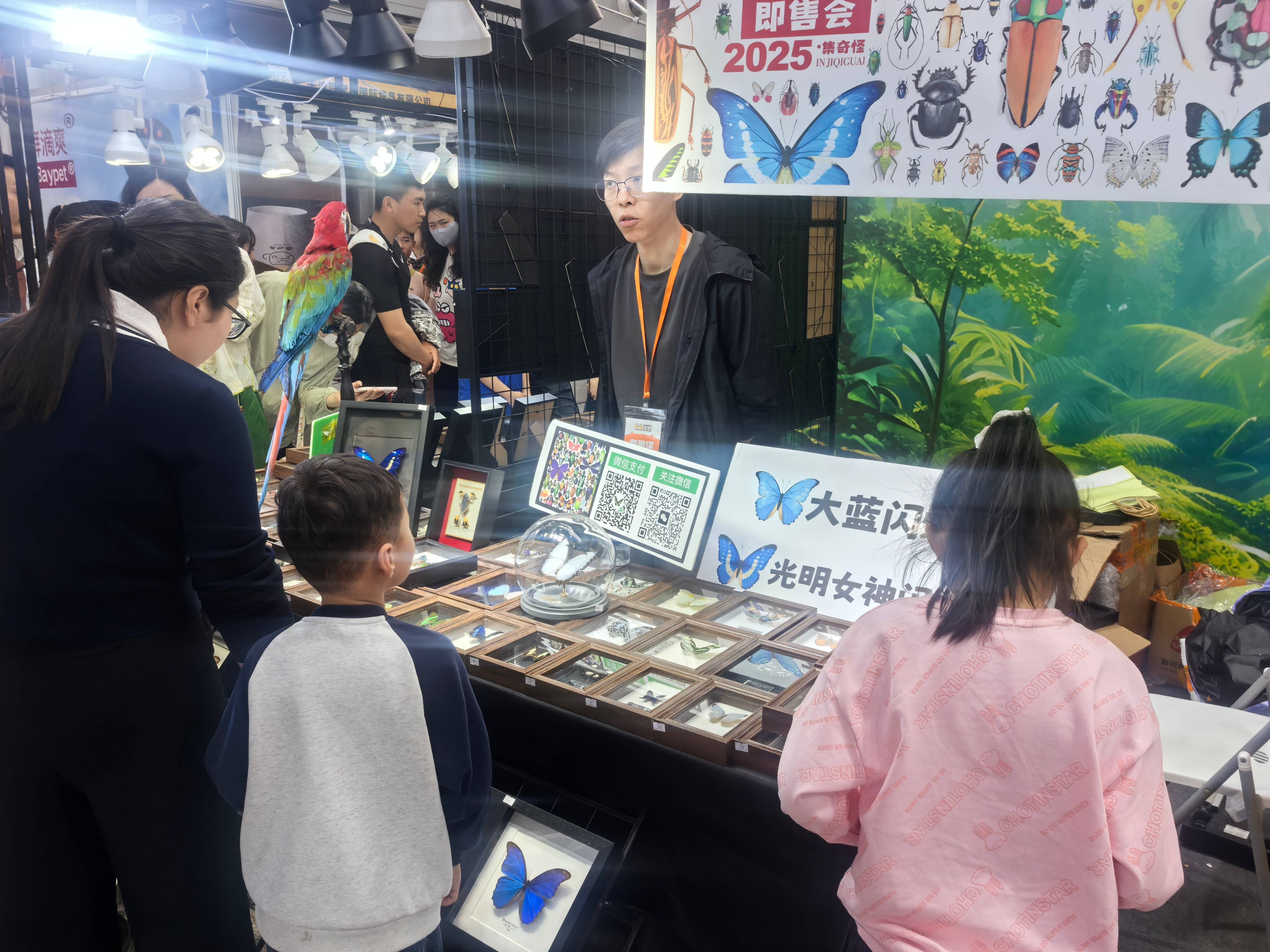 徐州经开区徐庄镇吴集村关工委： 探秘世宠世界 点亮少年好奇心