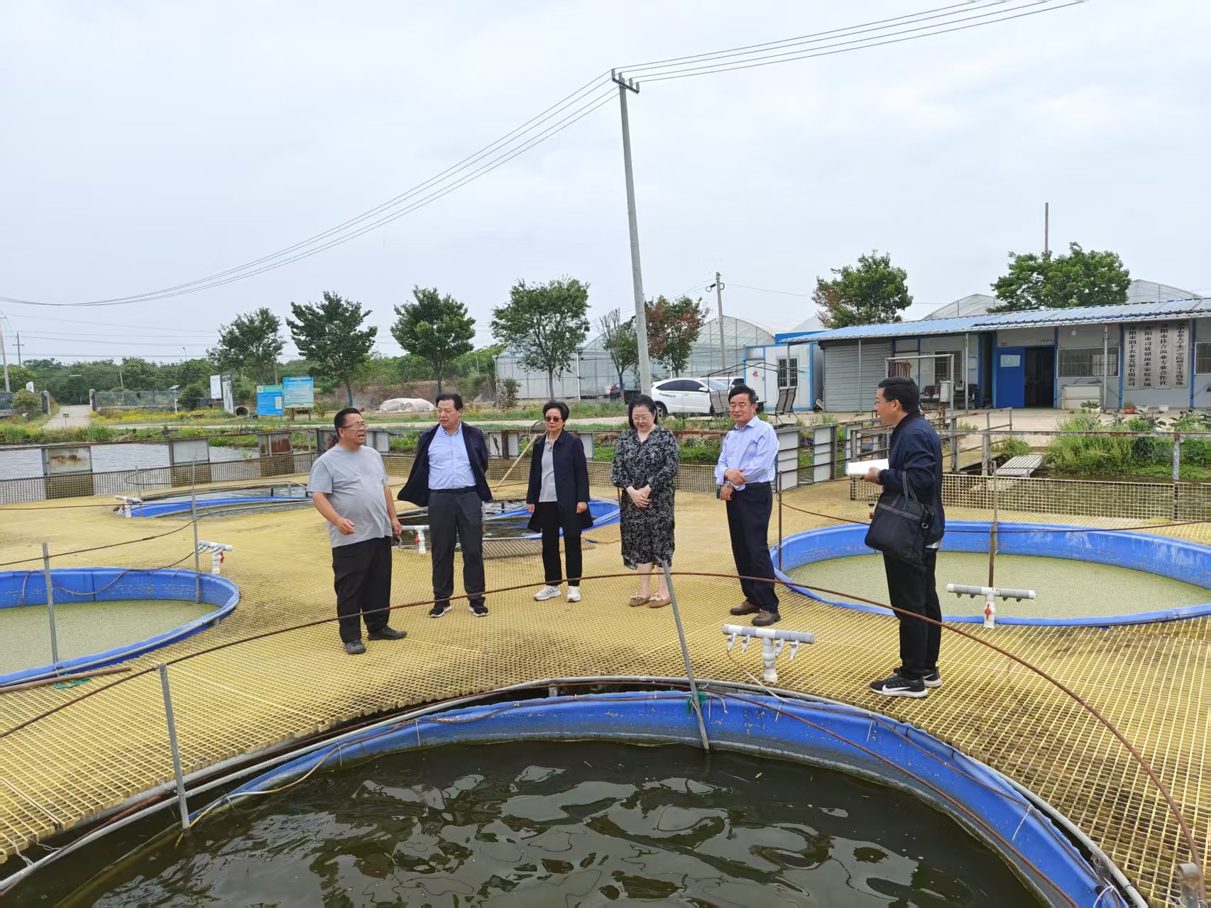 江苏省丹阳市关工委联合市农业农村局关工委开展助力青年农民创业创新活动