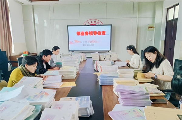 江苏省徐州市铜山区汉王镇北望小学关工委迎接镇级关工委期中视导，共促教学质量提升