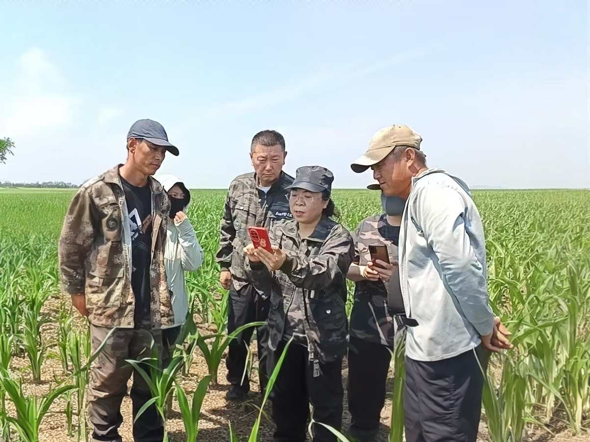 黑龙江省牡丹江市宁安市沙兰镇关工委：发挥“五老”余热 助力乡村振兴