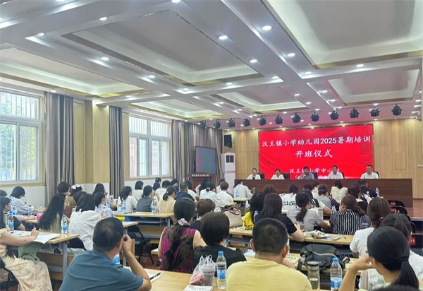 赋能专业成长，共筑教育新篇——江苏省徐州市铜山区汉王镇小学、幼儿园关工委举行全体教师暑期培训活动