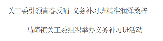 关工委引领青春反哺 义务补习班精准润泽桑梓 ——  贵州省遵义市马蹄镇关工委组织举办义务补习班活动