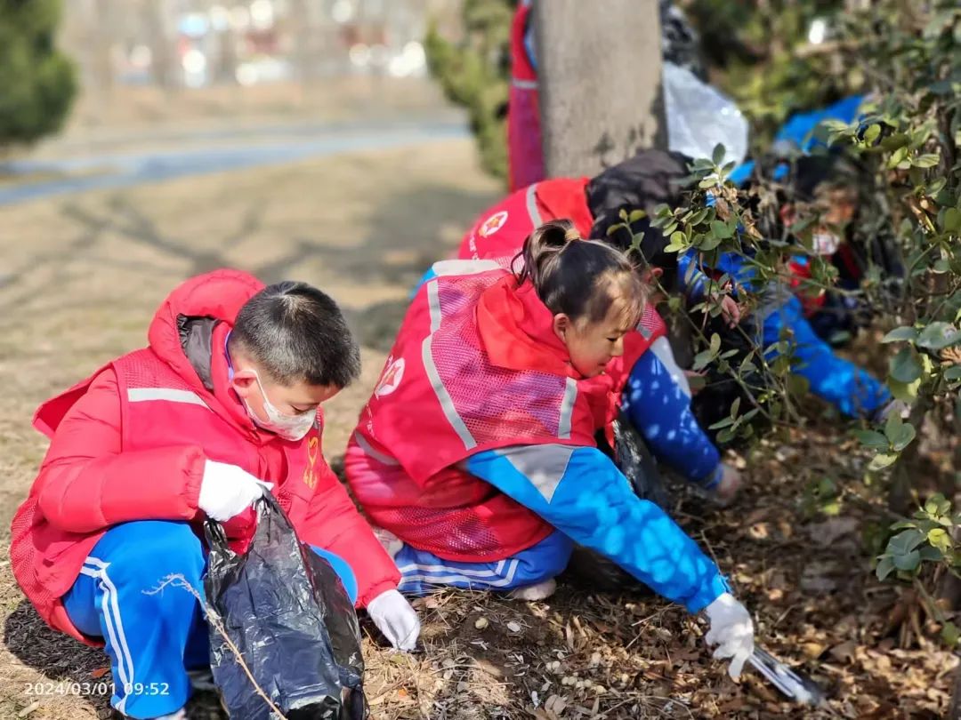 1709607269653523.jpg 月湖小学1.jpg