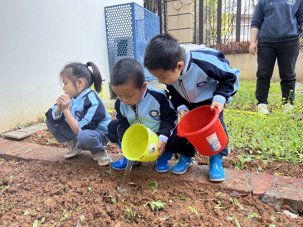 1710232067191035.jpg 精心浇灌1.jpg