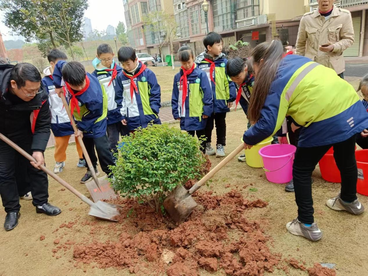 1710321996290761.png 3.12聚龙植树2.png