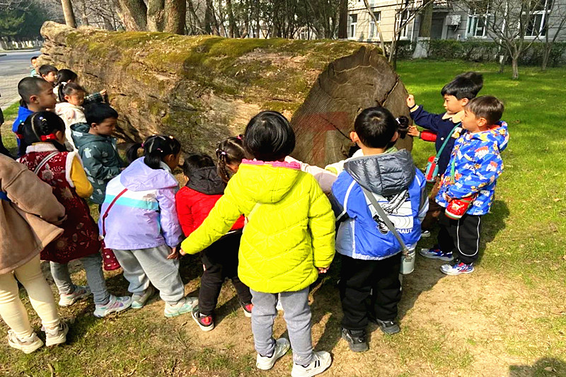 1710433748185294.jpg 江苏省南京市玄武区锁三社区关工委开展“赓续红色精神,践行绿色传承”主题活动(3).jpg