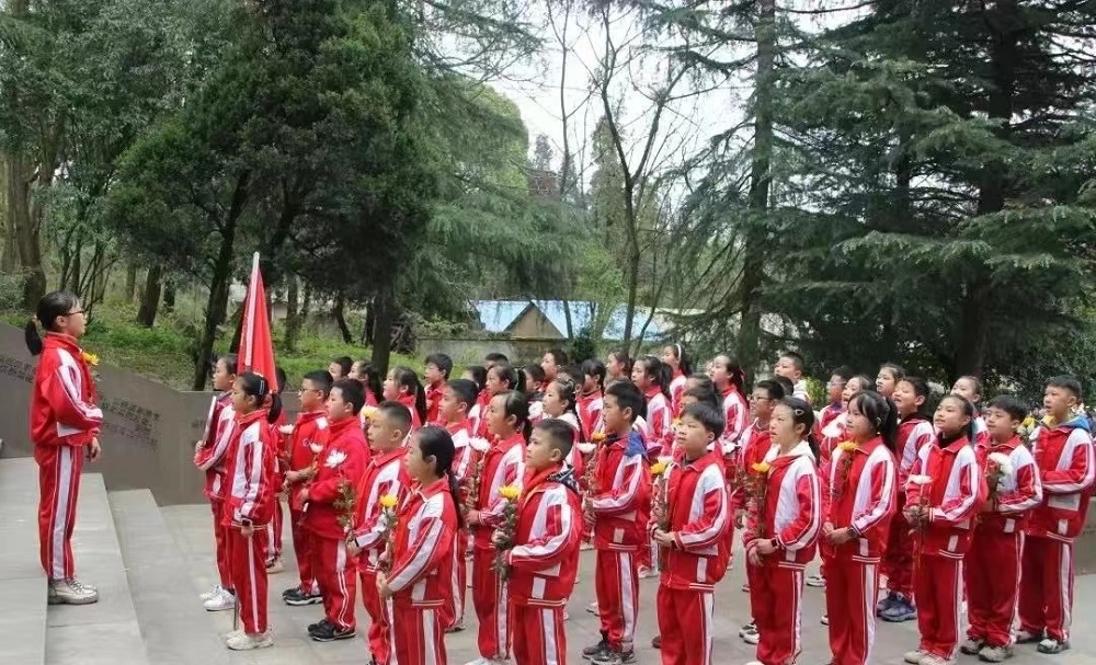 1712472197834393.jpg