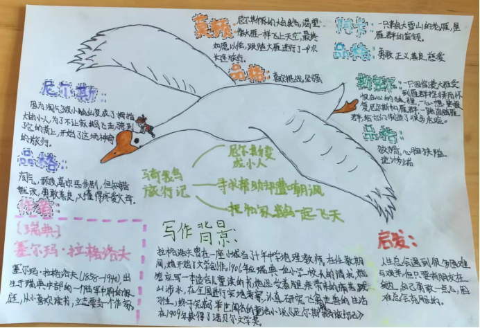 1715219801233226.png 图片1.png