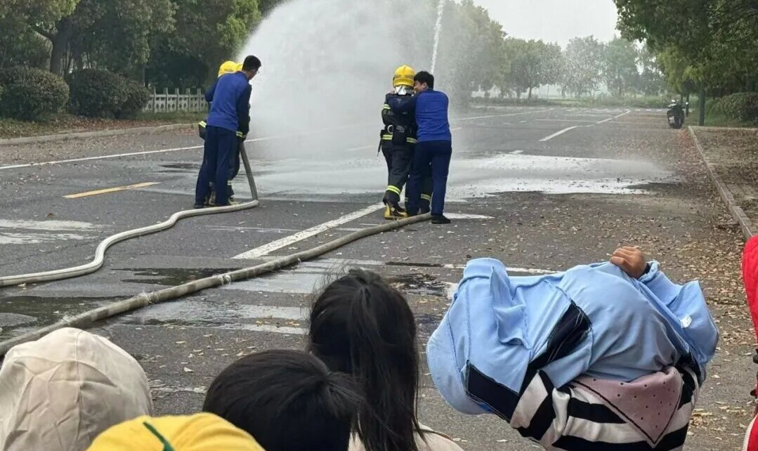 图大片1.png