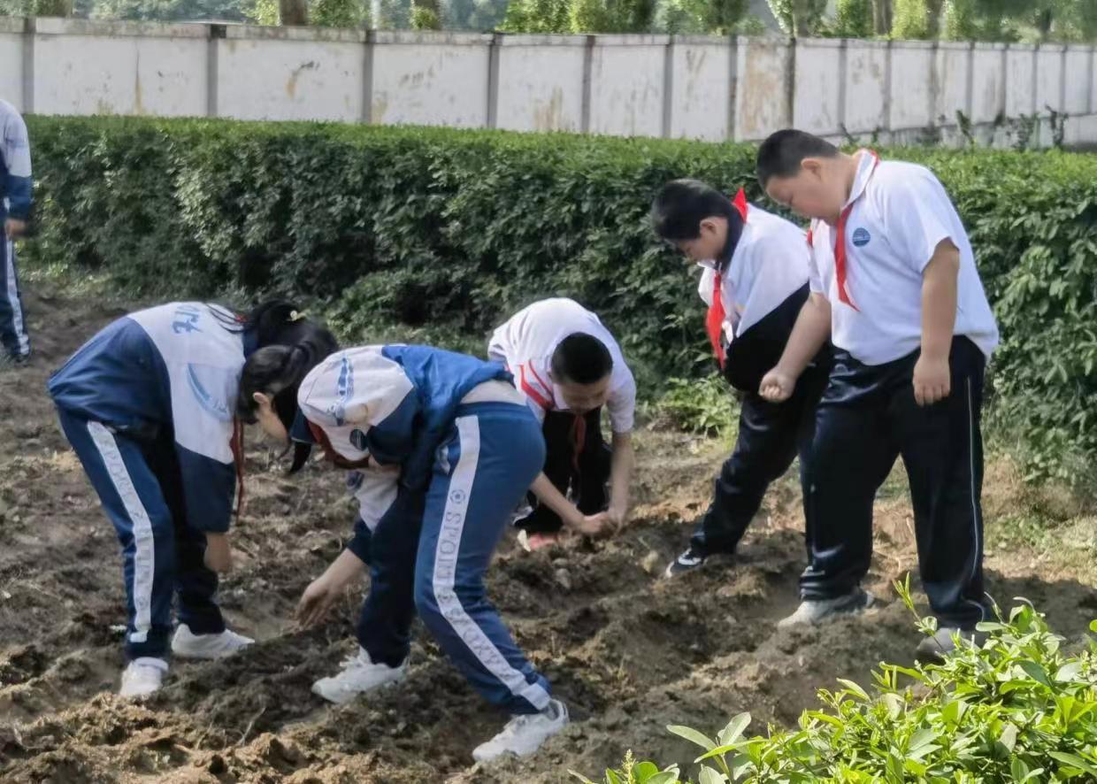微信图片_20240517145225.jpg