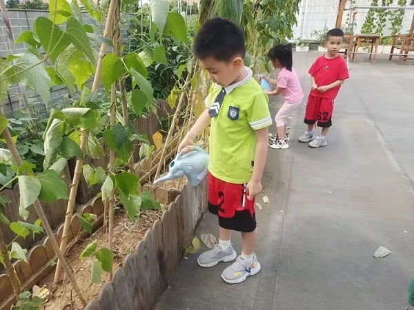 1716044025219149.jpg 04.webp.jpg