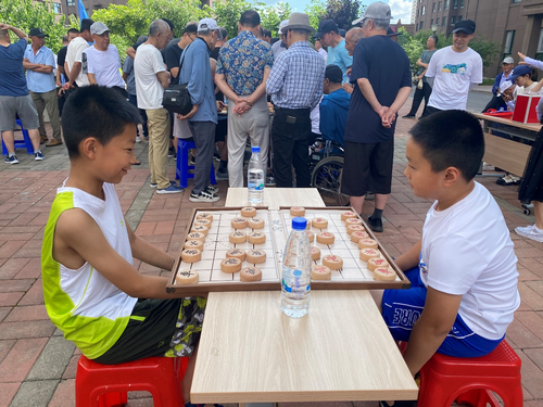 盛世华庭象棋2_副本.png