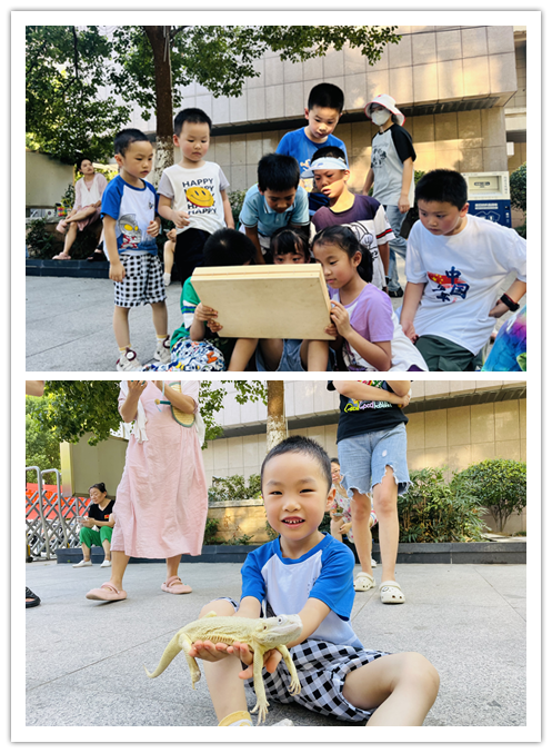 1723167299415016.png 未命名.png