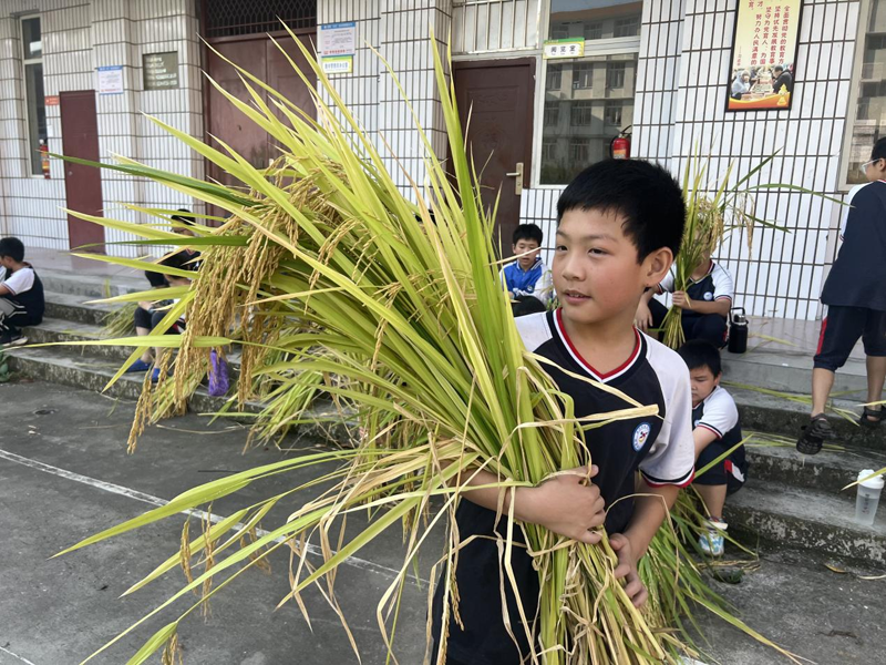 1724079332320808.png 图片4.png