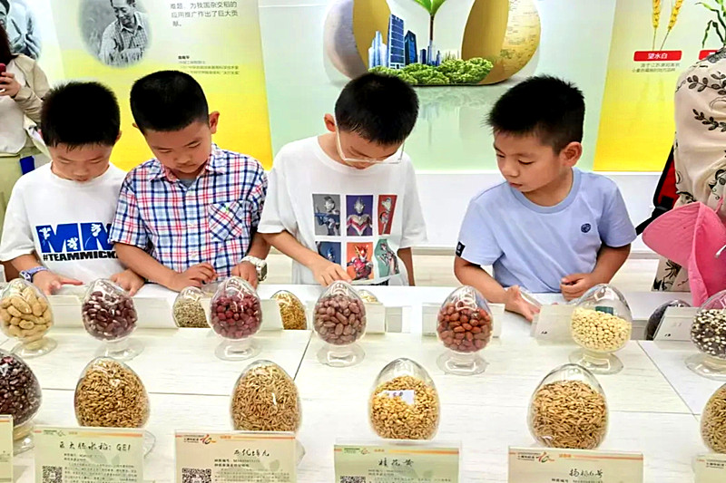 江苏省南京市玄武区北门桥社区关工委开展“参观省农科院，变身小小农民”活动(6).jpg