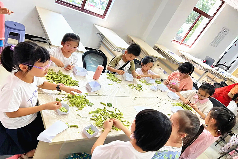 1724366892875714.jpg 江苏省南京市玄武区农科院社区关工委开展“种子科普课堂探索奥秘”实践活动(3).jpg