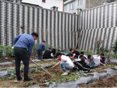 1725261902160549.png 始阳镇第三小学学生在校园内劳动实践.png
