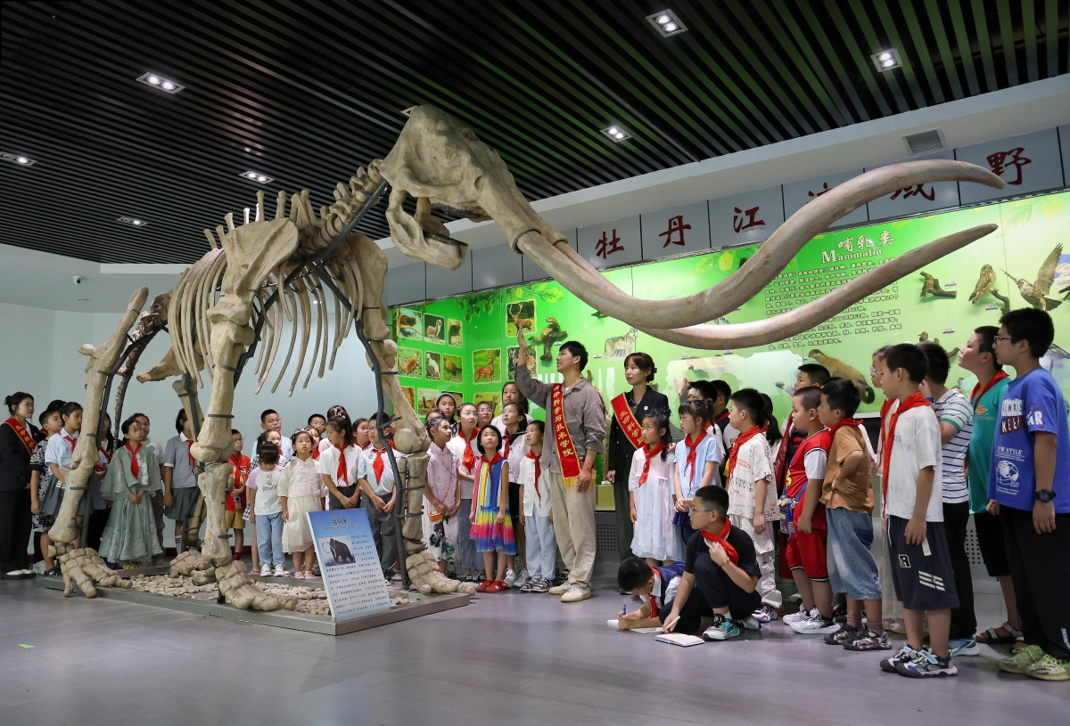 1725262109550116.jpg JA6A7084_副本_副本.jpg