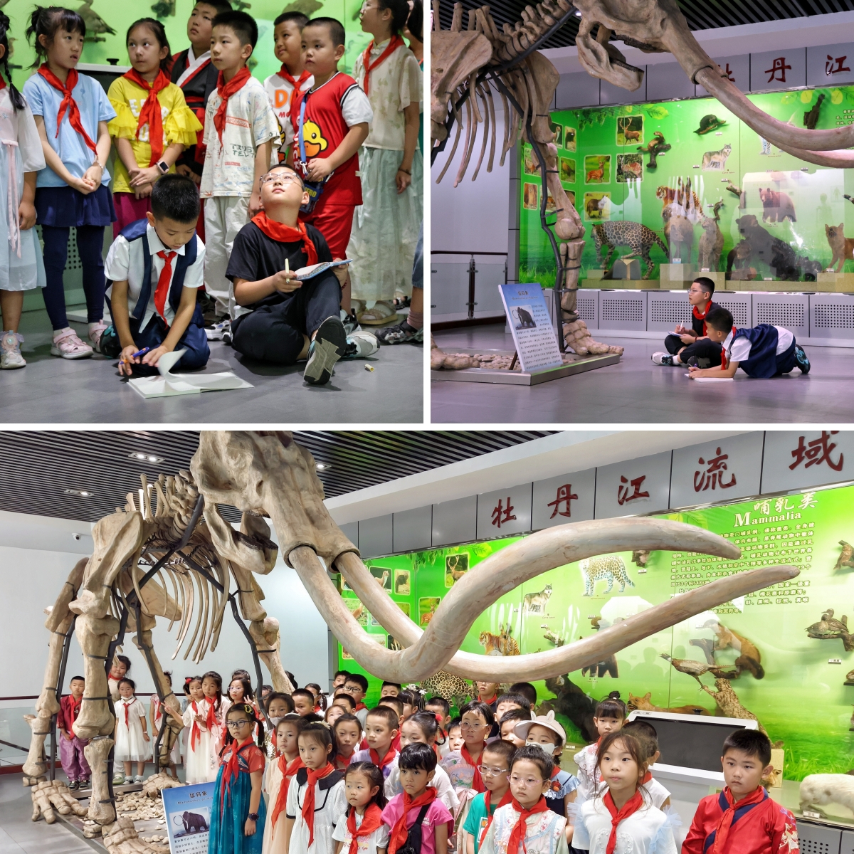 1725263517703610.jpg JA6A6945_副本_副本.jpg