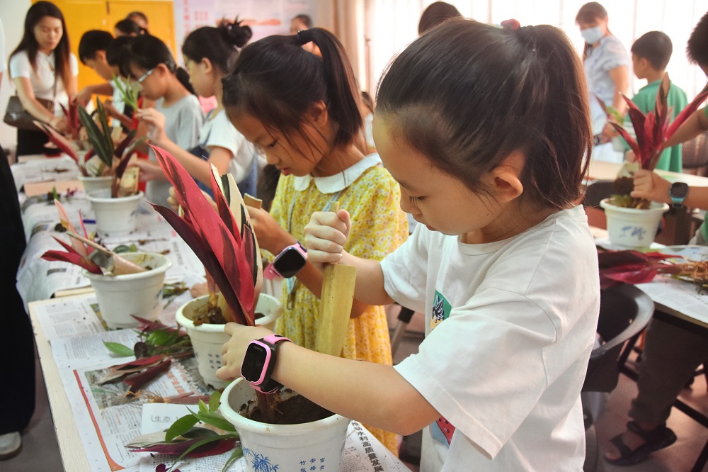 1727257565815326.jpg 孩子们正在制作植物盆栽1.jpg